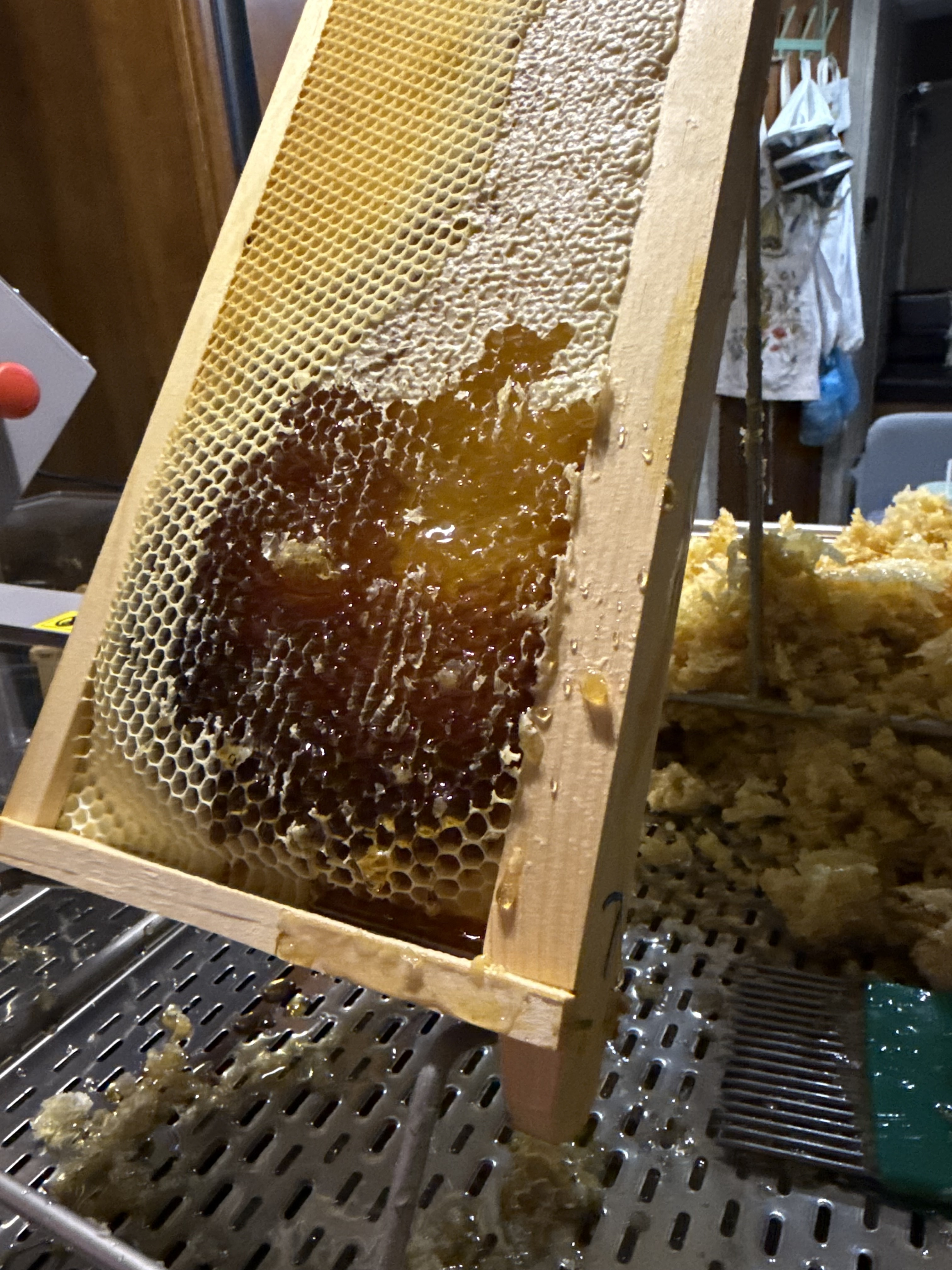 Close-up of raw unfiltered honey from LumberJack Apiary in Howard County, Maryland