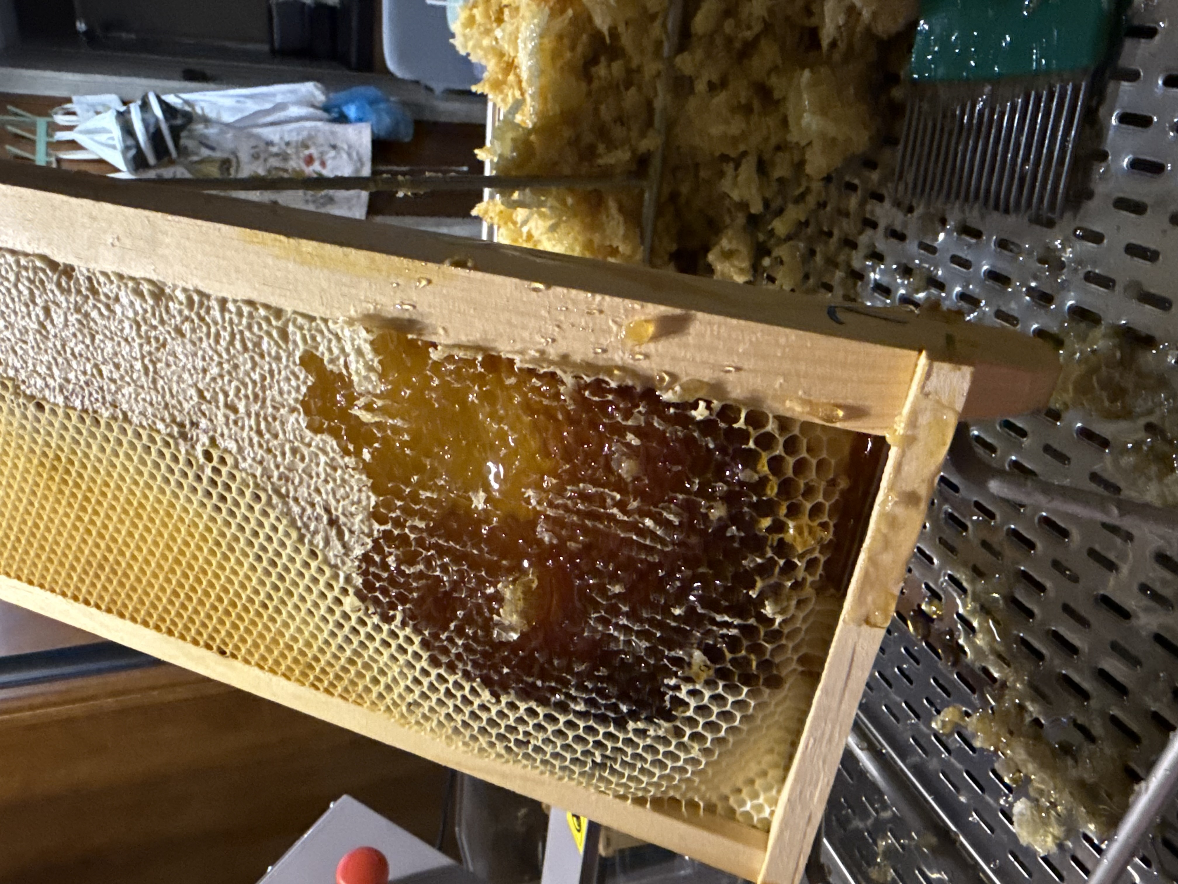 Close-up of raw unfiltered honey from LumberJack Apiary in Howard County, Maryland