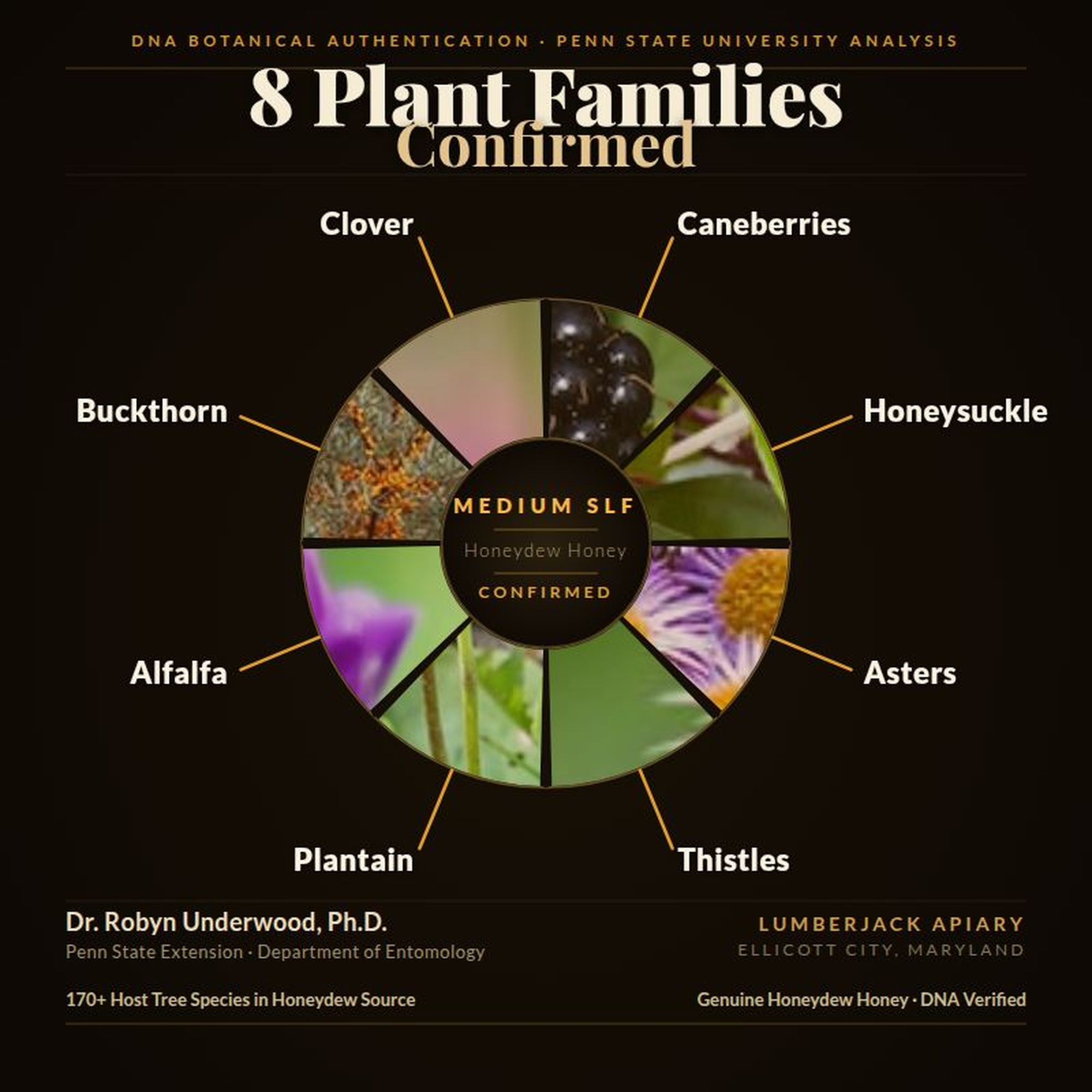 DNA botanical authentication — 8 plant families confirmed by Penn State University in LumberJack Apiary Spotted Lanternfly Honey